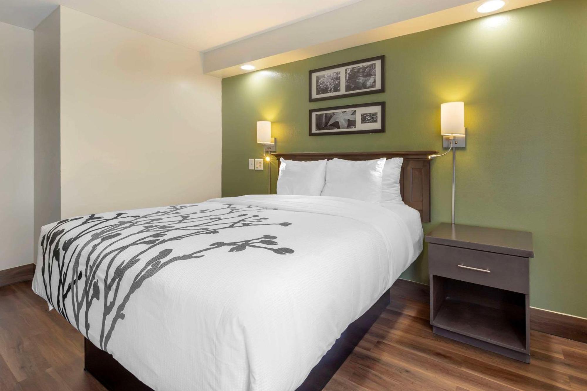 Sleep Inn Sumter Eksteriør bilde